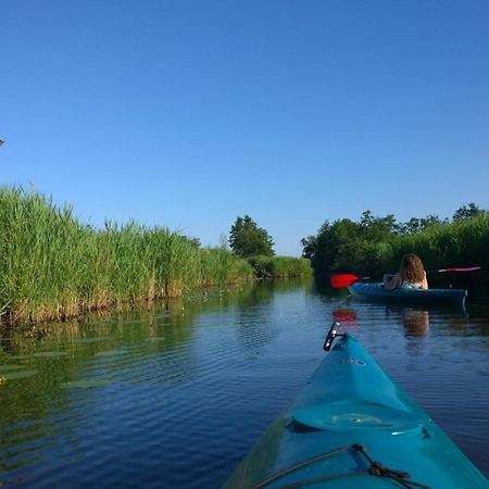 B&B De Zilverreiger Belt-Schutsloot Екстериор снимка
